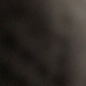 Meet your Posher, Troy